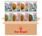 Eat Regal Heat & Eat Rice Variety Pack 8.8 oz x 8