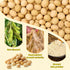 H2ONDBQF 10.58 Oz (300g) Dried Tofu Skin Strips, Bean Curd Strips, Asian Cooking Essential Soy Tofu Strips Tofu Knots