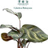 2" Calathea Makayona Live Plant in Growers Pot Easy Care Indoor Houseplant, Low Maintenance Tropical Prayer Plant, Pet