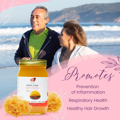 90 (16 oz.) Healthy Herbs Sea Moss Gel (Natural) Wildcrafted from Jamaican St Lucia Gold Seamoss | Wild-Harvested