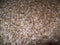 Whole Oat Groats: Raw Hulless Oats, Farmer Direct 15 lbs. (Cotton Sack