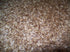 Whole Oat Groats: Raw Hulless Oats, Farmer Direct 15 lbs. (Cotton Sack