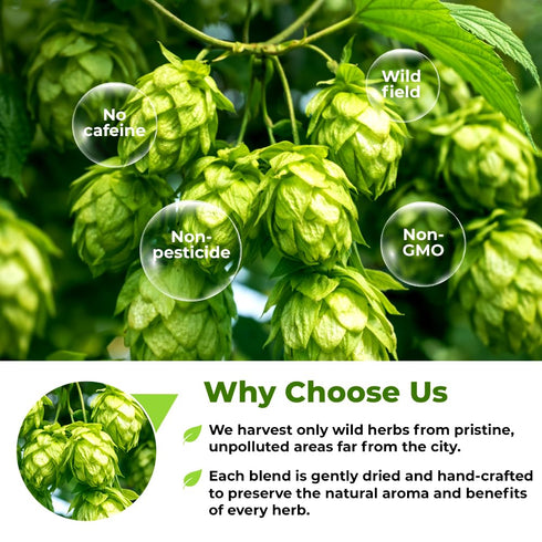 4 oz. 113 Gramm Hops Herb Dried Tea Hops Flowers Herbal (Humulus Lupulus L.) - Herb Tea Lupulo Entero