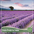 4 oz Eat Well Dried Lavender Flowers - Edible Culinary Lavender for Baking & Cooking, Tea, Soaps & Potpourri