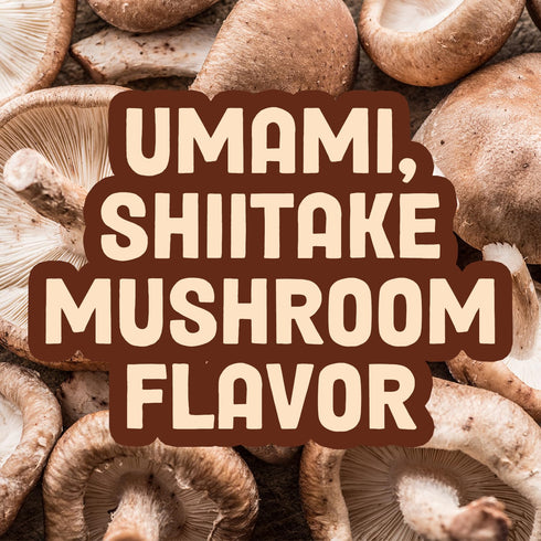 (2.2 Pack 1) Pan's Mushroom Jerky, Organic, Vegan Snacks, Dried Mushrooms Shitake, Plant based Jerky, Meatless Jerky