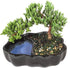 Brussel's Bonsai - Live Green Mound Juniper Bonsai Tree in Zen Reflections