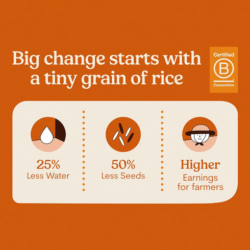 9 7.05 Jasberry, Rice Superfood Grains Organic, Ounce