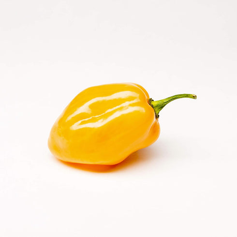 Akabanga Extra Hot Chilli Sauce, 100 ml / 3.38 oz (spicy)