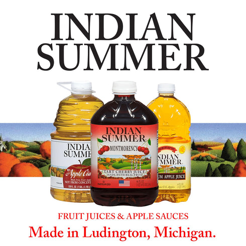 Summer 23 (Pack 6), Indian Chunky Peach Applesauce, Ounce of Made in USA