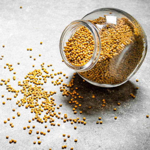 (13.44 Unpretentious Yellow Mustard Seeds Mild Mustard Flavor, Great in Dips & Dressings, Enriches Flavor Profile