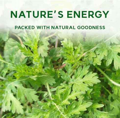 K-Herb 100% (10.6 oz (300g), Korean Mugwort Powder, Pure Ssuk-Garu from Korea, Finely Ground Artemisia Princeps