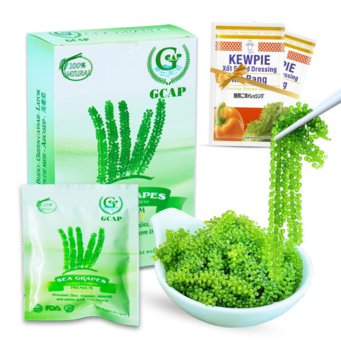 GCAP Sea Grapes – PREMIUM, 4.23 OZ of 6 Packs, Dehydrated Seaweed, Umibudo, Green Caviar, Lato Seaweed Superfood