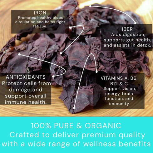 (2oz Ocean's Balance Organic Whole Leaf Dulse Maine Coast Vegetables for Keto, Paleo Diet, & Vegan Diets Sweet Seaweed