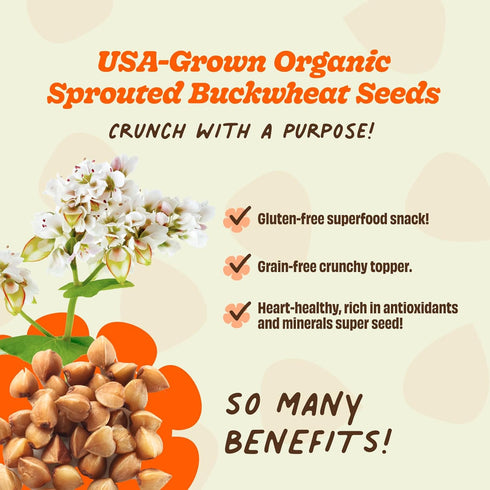 1 Pack) Lil Bucks Sprouted Regeneratively Grown Buckwheat Seeds Paleo Cereal, Gluten-Free Granola, High in Protein, Low