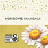 40 (Pack 6) Celestial Seasonings Herbal Tea, Chamomile, Caffeine Free, Tea Bags