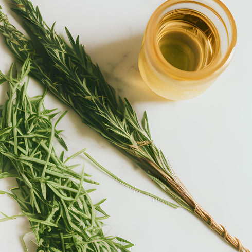 8.5 oz Sanniti French Tarragon White Wine Vinegar, fl Aromatic Herb-Infused Vinegar | Gourmet European Pantry Staple