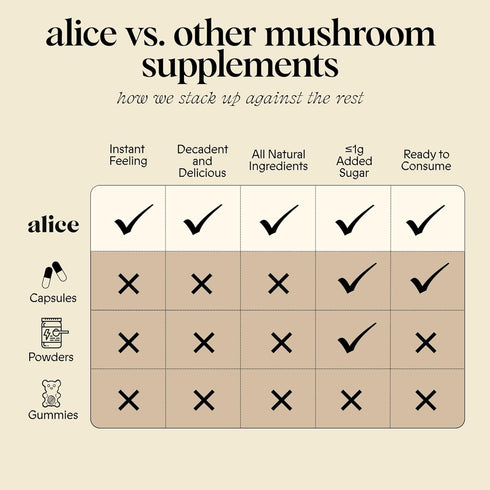 Alice Mushrooms Nightcap + Brainstorm Duo | Functional Mushroom Chocolates | Brainstorm Energy Bites for Focus, Clarity