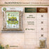 (4 oz) 100% Ruda Seca Herbal Tea Natural Rue Dried Herbs (Ruta graveolens) Traditional Botanical Infusion Wildcrafted