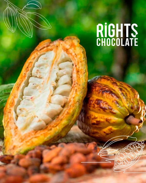 70% Pack (4 60g) Ecuadorian Dark Chocolate Tropical Variety Exotic Fruit Flavors x Fine Aroma Cacao