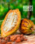 70% (10 20g) Ecuadorian Dark Chocolate COCOA CRUNCH Cocoa Nibs & Sea Salt x Fine Aroma Cacao