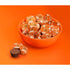 9 SHANI'S ROOTS SHOOTS 5.1 oz (5.1 (Pack 1)) Zero Sugar Miniature Peanut Butter Cups Chocolate Candy with Peanut Butter