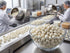 DM Sweets 1 lb Yogurt Covered Peanuts Bulk Bag Sweet & Crunchy Snack Creamy Yogurt Coating Over Fresh Slow Roasted