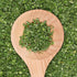 1 oz, GranAroma Dried Chives, Potatoes & Salads, Subtle Flavor, Versatile Ingredient
