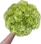 38 Green Carnation Flowers Hydroponic Flower Arrangement Mothers Day Gift Home Decor