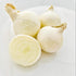 Kejora Fresh Boiler Onions/Boiling Onions 3 LB