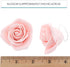2 Inch, 8 Count Global Sugar Art Peace Rose Sugar Cake Flowers Pink by Chef Alan Tetreault