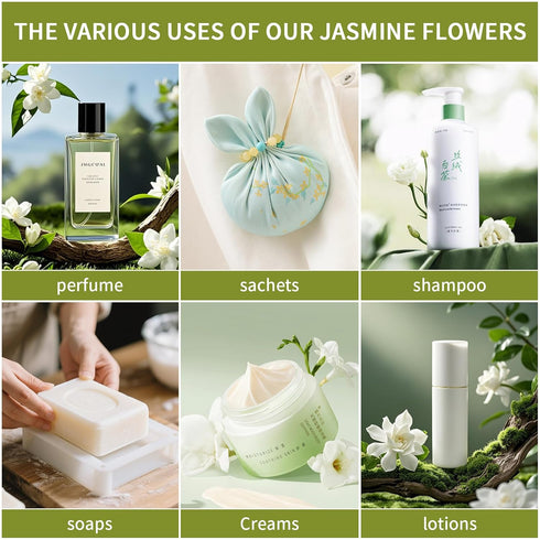 ANTAKUBU Flowers,30g/1.05oz,Edible Baking,100% Dried Jasmine Jasmine Flowers Tea For Tea, Natural & Pure Whole Buds