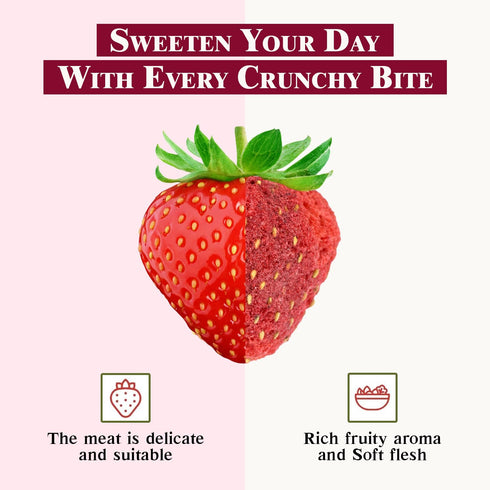 10g Himalayan Chef Freeze-Dried Strawberry | Organic Drieds Fruit Snacks, Healthy Fruits Snack for Kids & Adults