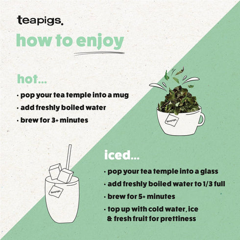 50 Count (1 Pack 50 Teapigs Peppermint Leaves Tea Bags Made With Whole Tea Leaves, Natural Ingredients, Non-GMO
