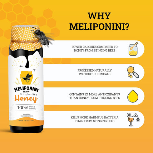 335 Meliponini - Stingless Bee Honey, Antioxidant-Rich & Raw, A Powerful Alternative to Manuka, Tasty, Pure, Sweet