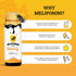 335 Meliponini - Stingless Bee Honey, Antioxidant-Rich & Raw, A Powerful Alternative to Manuka, Tasty, Pure, Sweet