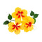 Global Sugar Art Hibiscus Sugar Cake Flowers, Yellow with Red, 3 Count