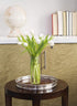 KaBloom PRIME NEXT DAY DELIVERY - Bouquet of Fresh White Tulips| Fresh For Delivery Prime.Gift for Birthday, Sympathy