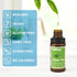 Food Flavoring Oil, 14 Flavors of Natural Liquid Concentrated Candy Flavors for Baking, Cooking, and Lip Balm