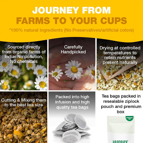 (100 HANDPICK, Organic Chamomile Tea Bags Herbal Tea Bags) Caffeine Free| Premium Floral Chamomile Herbal Tea