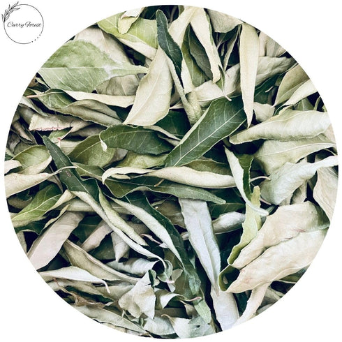 Leaves-100% Dried-10-15 CurryForest Premium Dried Curry Natural, Pesticide-Free Whole Leaves, USA Grown, Air g