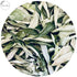 Leaves-100% Dried-10-15 CurryForest Premium Dried Curry Natural, Pesticide-Free Whole Leaves, USA Grown, Air g