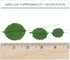 3 120 Count Global Sugar Art Rose Leaf Dark Green Sugar Cake Flower, Sizes, by Chef Alan Tetreault