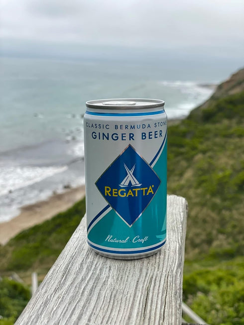 7.5oz, 24 Ginger Beer, Regatta Craft Mixers, Premium Ginger Beer, All-Natural Ingredients, Non-GMO, Case of Sleek Cans