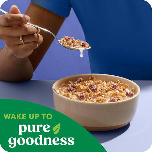 17.2oz (1 (Pack 4) Kashi Breakfast Cereal, Organic, Whole Grain, Blueberry Clusters, Box Box)