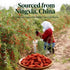 Gerduck Free,Organic,Non-GMO,5g 20 Ginger Goji Berry Jujube Dates Tea,Traditional Chinese Postpartum Tea,Lactation
