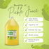 PickleAde Real Pickle Juice with Turmeric, 1 Gallon - 128oz (2 Pack) for Hydration and Muscle Relief
