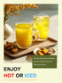 100 Count, TeeLux Ginger Turmeric Green Tea Bags, Smooth Steamed Green Tea with Spicy Ginger, Earthy Turmeric & Sweet