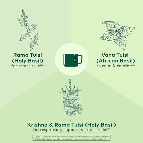Immune 18 3 Pack ORGANIC INDIA Tulsi Original Herbal Tea - Holy Basil and African Basil Calming and Stress Relief Tea