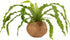 Better-GRO 17 Hanging Kokodama with Birds Nest Fern - Biodegradable, Natural Planter