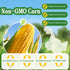 xapuo 600g (30g 20 Packets), Pure Corn Porridge Instant Breakfast Mix, Unsweetened, No Added Sugar, X Fine Powder Easy